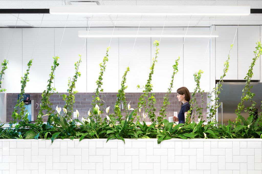 D&B Cloud Innovation Center | BetaKit D&B Cloud Innovation Center