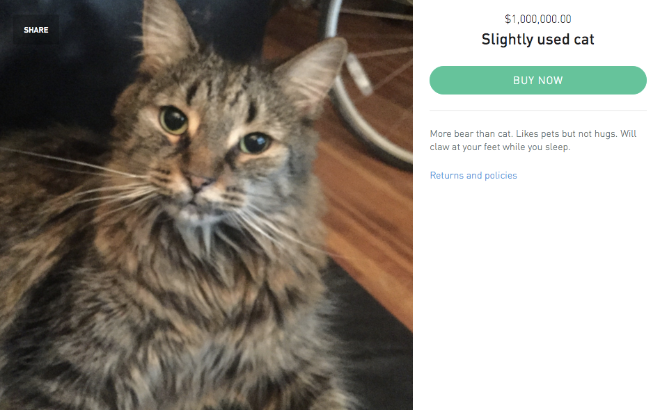 ronnie_sello | BetaKit ronnie_sello