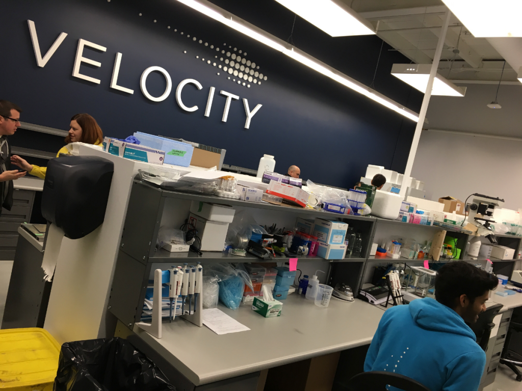 velocity | BetaKit velocity