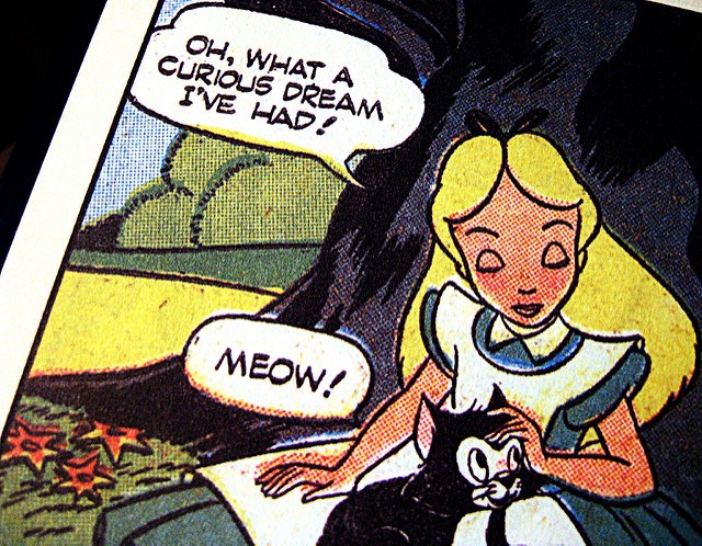 curiosity | BetaKit Photo by erin leigh mcconnell