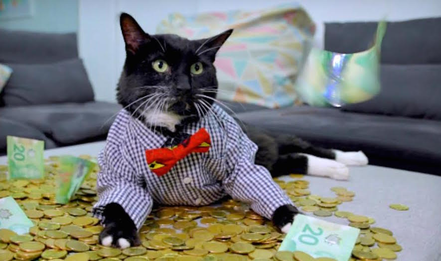 hardbacon | BetaKit hardbacon