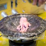 14-11-22-5DIII-8416_8x12 | BetaKit