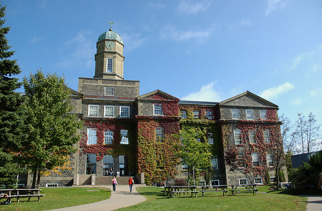 dalhousie university