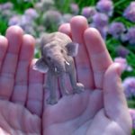 magic leap