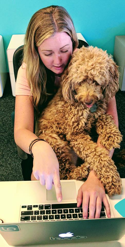 maple | BetaKit maple