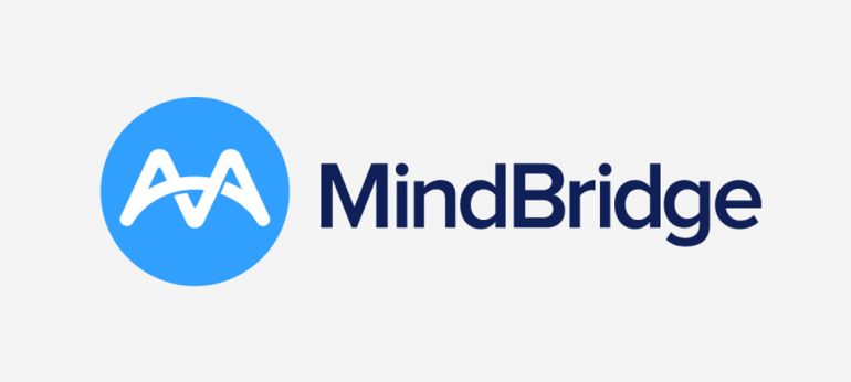 mindbridge ai