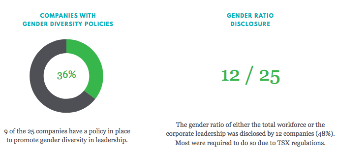 Minerva report: companies with gender diversity policies | BetaKit Minerva report: companies with gender diversity policies