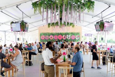 startupfest