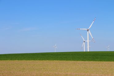 Wind turbines in an open field