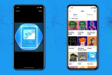 Twitter NFT profile pictures