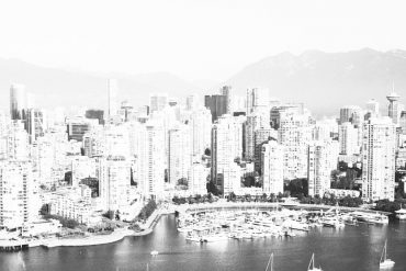 briefed.in report BC