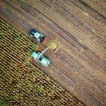 two trucks on a field