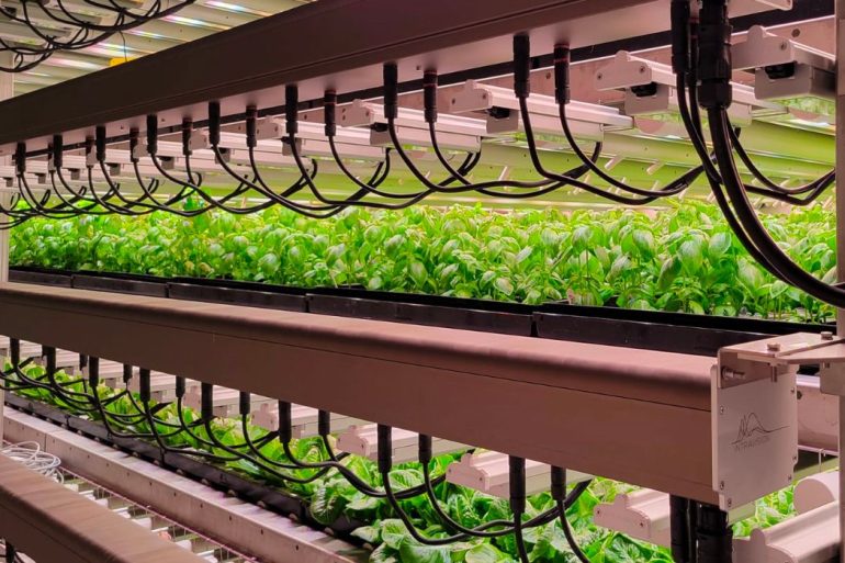 Vertical farming Vision Greens