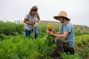 canadaflag-200x133 | BetaKit