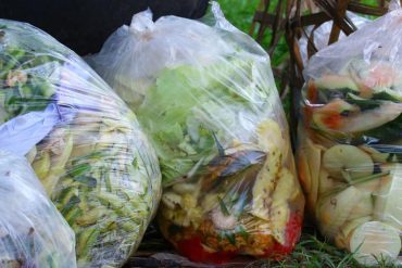 See through garbage bags full of food waste.