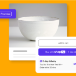 Shopify's Shop Promise