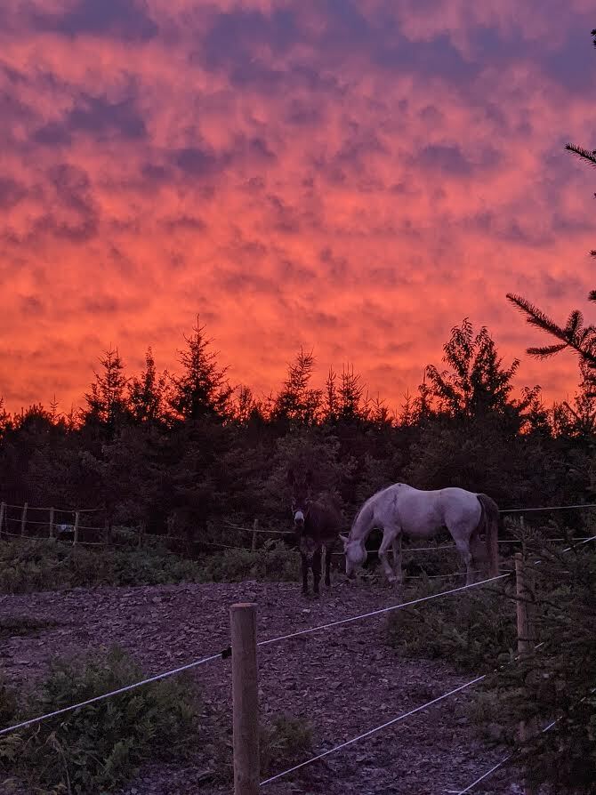 Cole and Sally at Two Dog Marsh