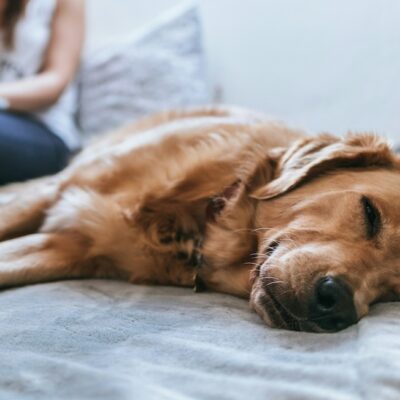 Does sleeping count as an activity?