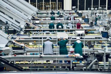 Food processing plant