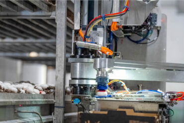 Robotic arm holds button mushroom