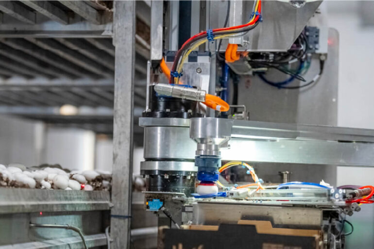 Robotic arm holds button mushroom