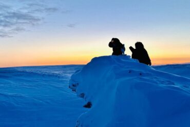Two figures look out over a snowy expanse.